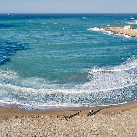 Superior Beachfront Apartment 1 With View To The Aegean Sea Panormos  Exterior photo